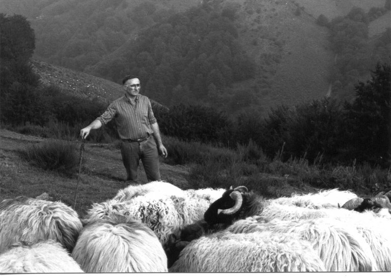 Le bertsularisme en Pays Basque nord Institut culturel basque